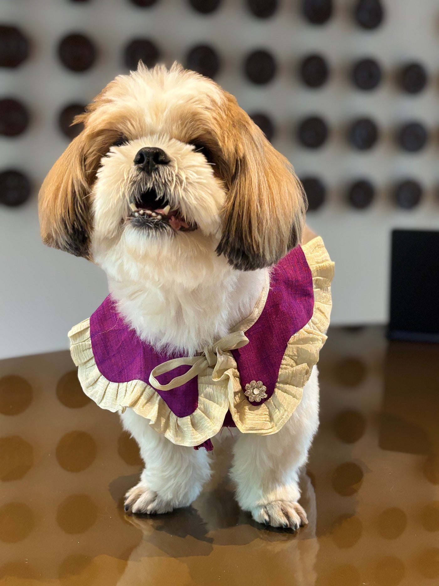 The Petal Ruffle Bandana - Luxury Plum & Gold Festive Pet Cape