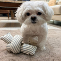 The knot (Squeak toy)