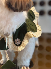 The Petal Ruffle Bandana - Elegant Emerald Green & Gold Festive Pet Cape