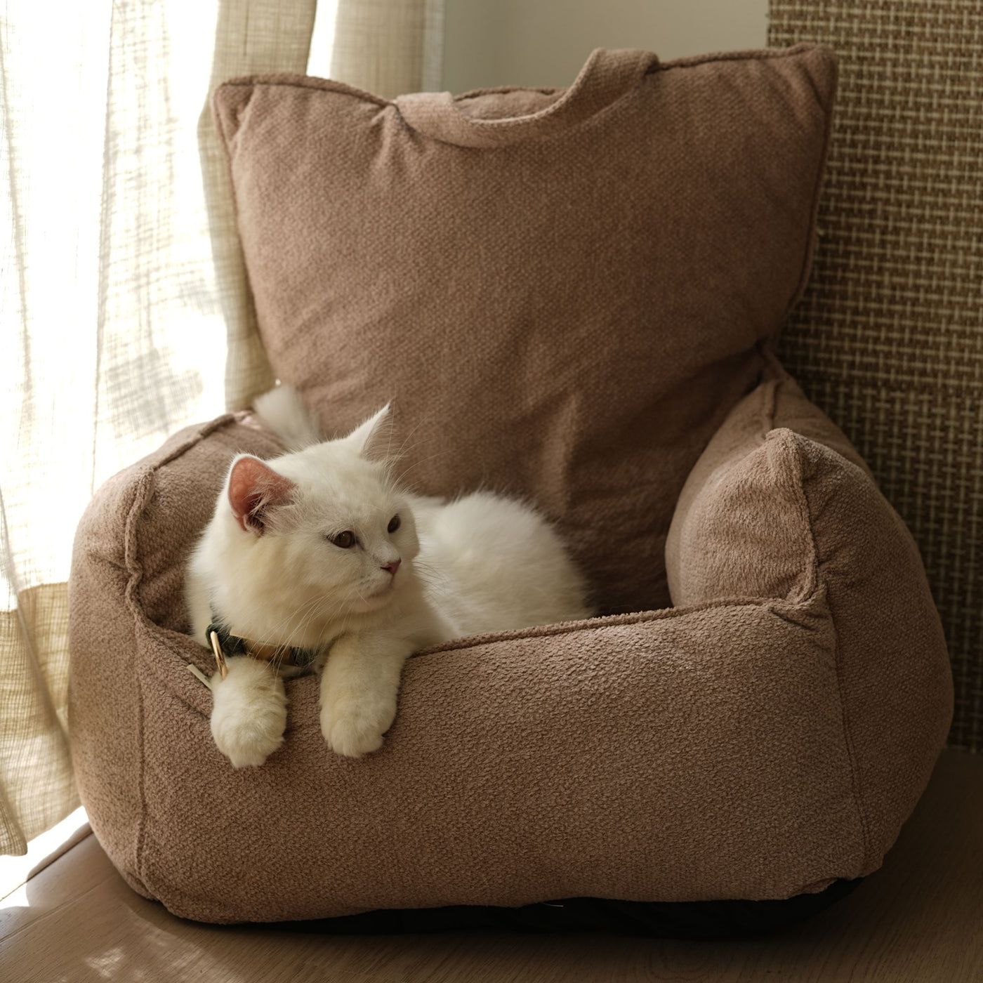 The Lounger