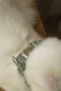 Sage Handmade Pet Collar – Premium Braided Collar with Metal Buckle & D-Ring