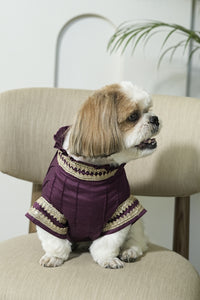 Noor Kurta - Festive Ethnic Wear for Dogs