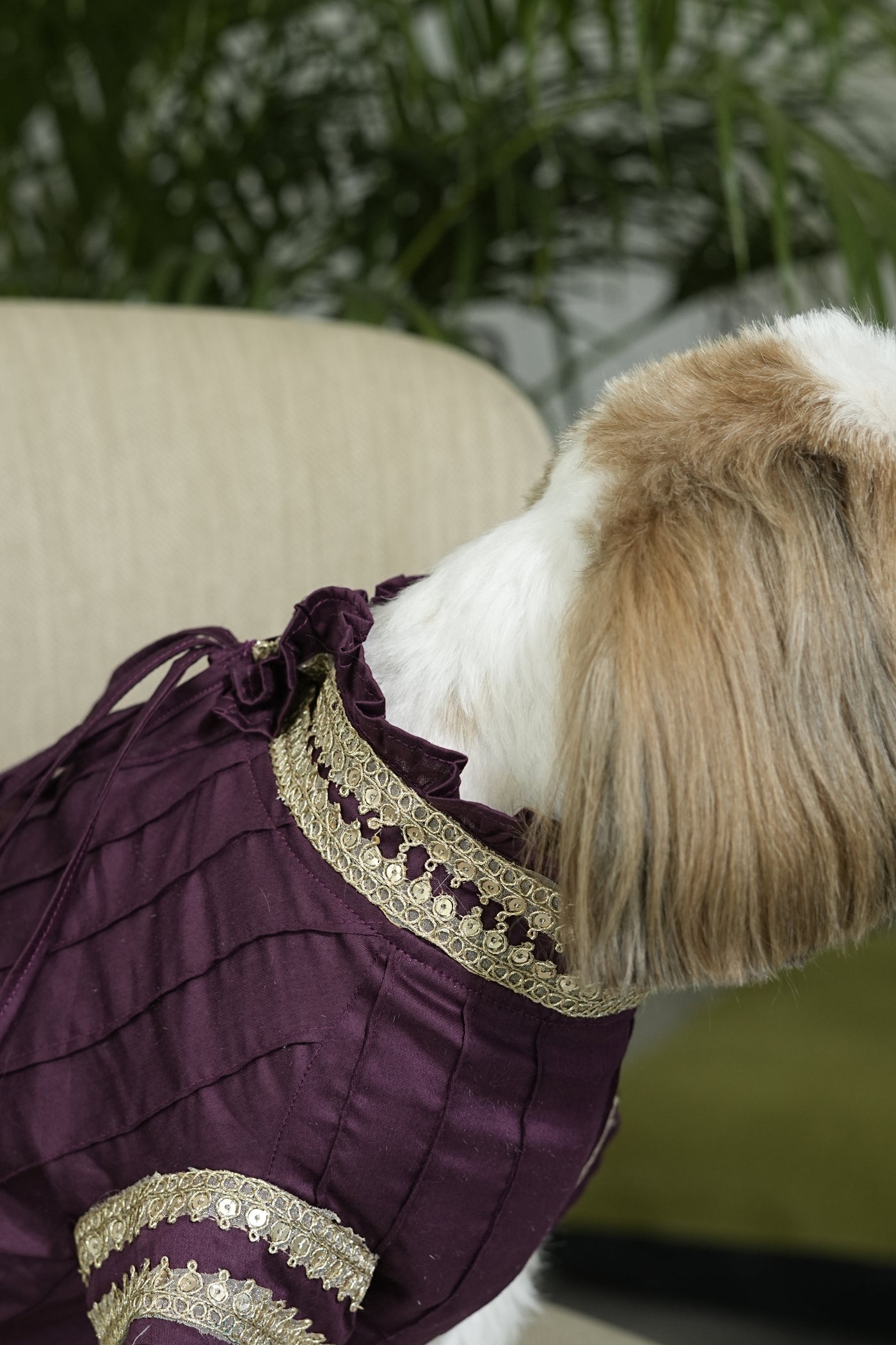 Noor Kurta - Festive Ethnic Wear for Dogs