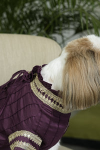 Noor Kurta - Festive Ethnic Wear for Dogs