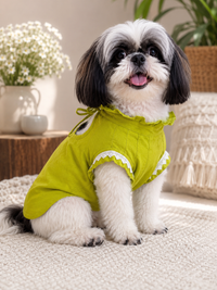 The Meher Kurta - Designer Ethnic Wear for Dogs