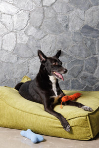 Pawperoni Sausage Pet Toy