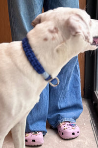 Sapphire Handmade Pet Collar – Premium Woven Collar with Metal Hardware