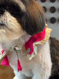 The Petal Ruffle Bandana - Vibrant Magenta Designer Pet Collar & Cape
