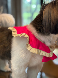 The Petal Ruffle Bandana - Vibrant Magenta Designer Pet Collar & Cape