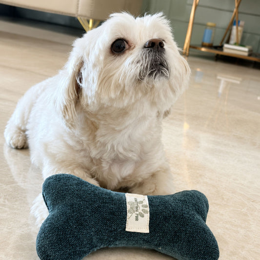 Durable Plush Chew Bone Toy