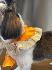 The Petal Ruffle Bandana - Vibrant Orange & Gold Festive Pet Cape