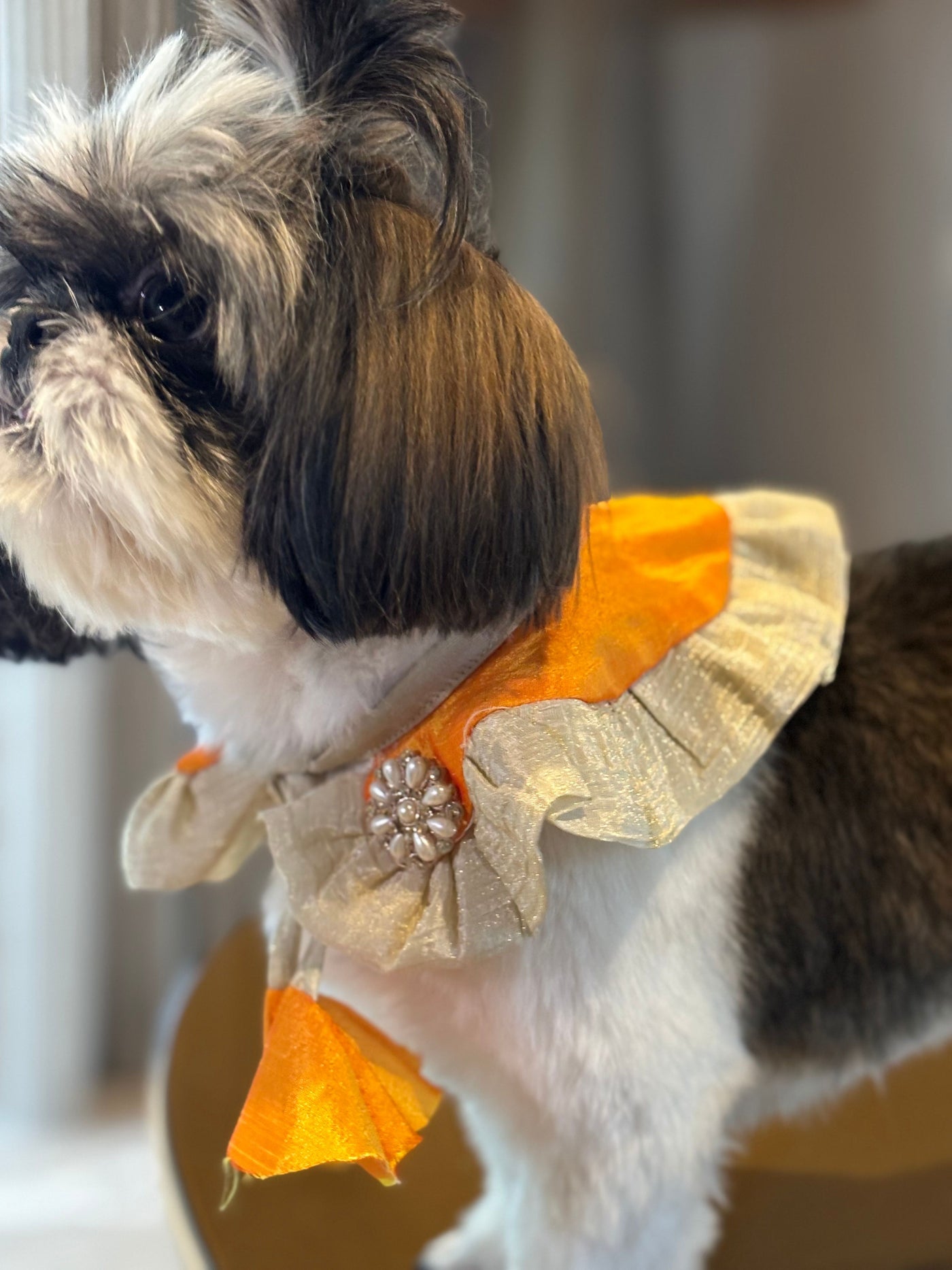 The Petal Ruffle Bandana - Vibrant Orange & Gold Festive Pet Cape