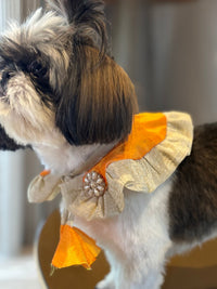 The Petal Ruffle Bandana - Vibrant Orange & Gold Festive Pet Cape