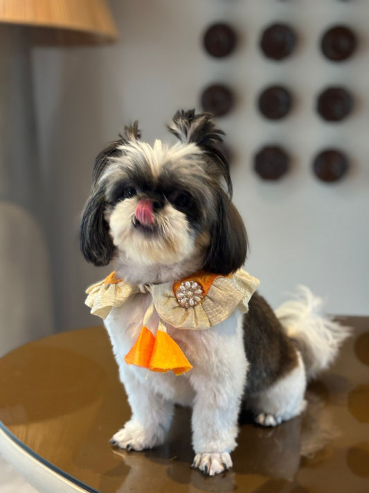 Vibrant Orange & Gold Festive Pet Bandana