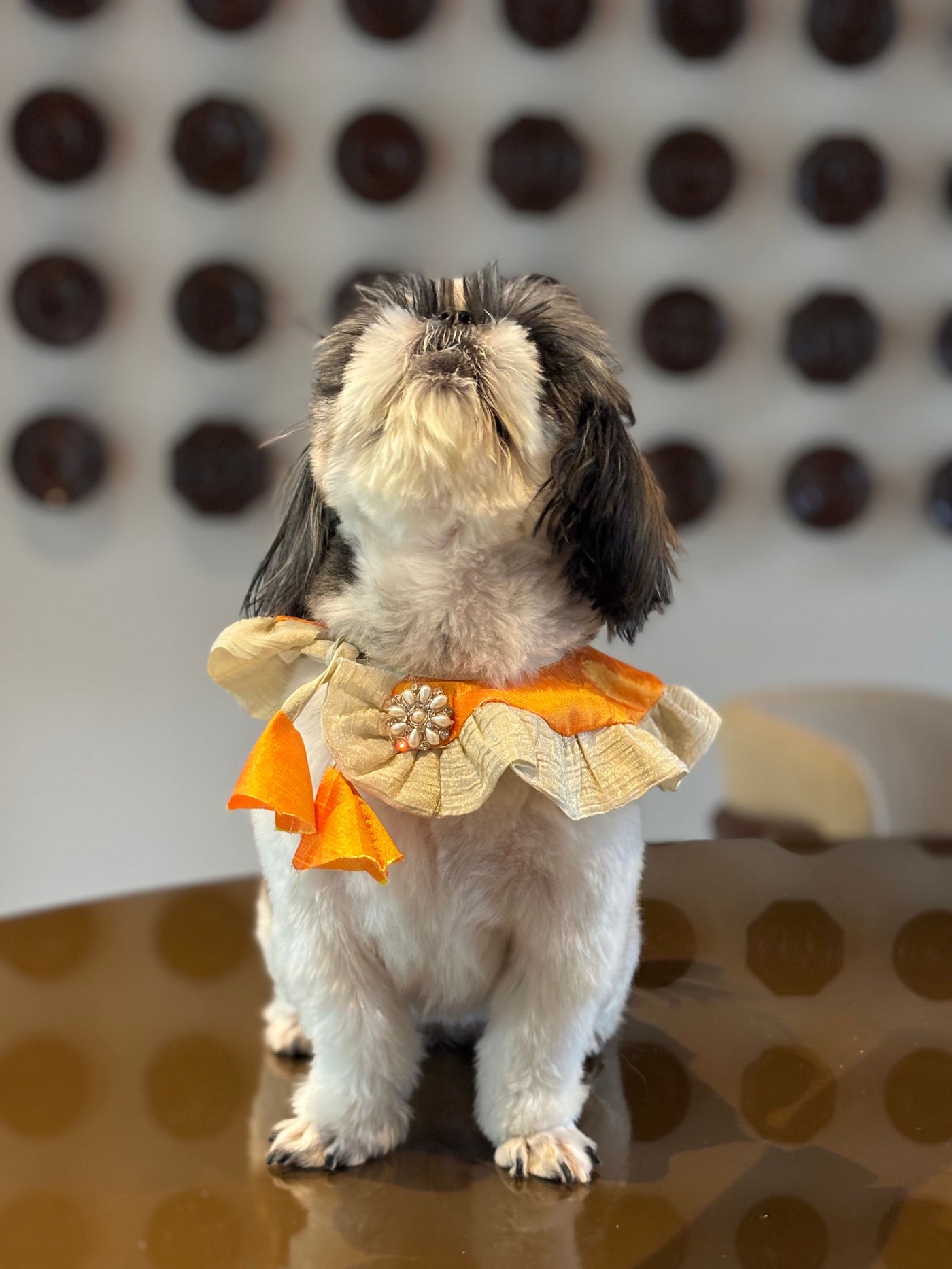 The Petal Ruffle Bandana - Vibrant Orange & Gold Festive Pet Cape