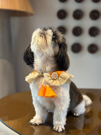 The Petal Ruffle Bandana - Vibrant Orange & Gold Festive Pet Cape