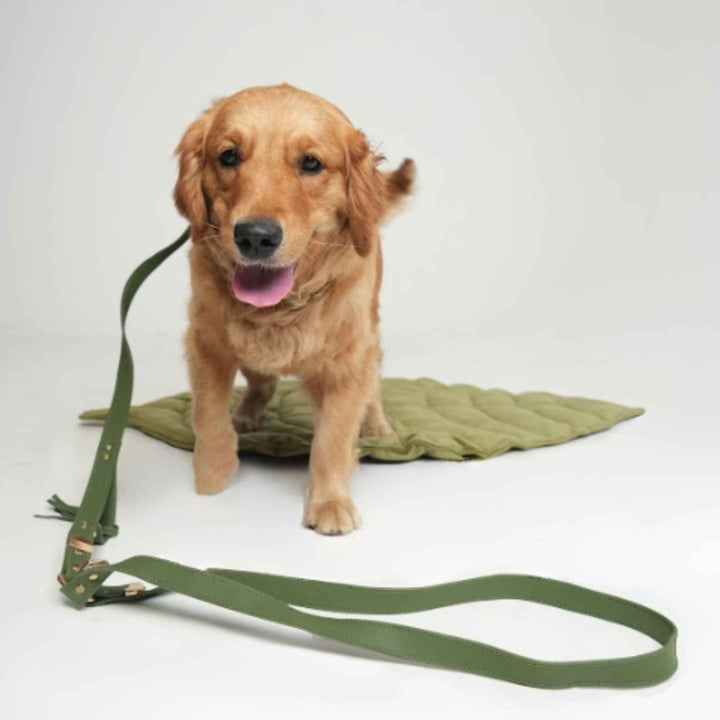 PAWSH CROSSBODY