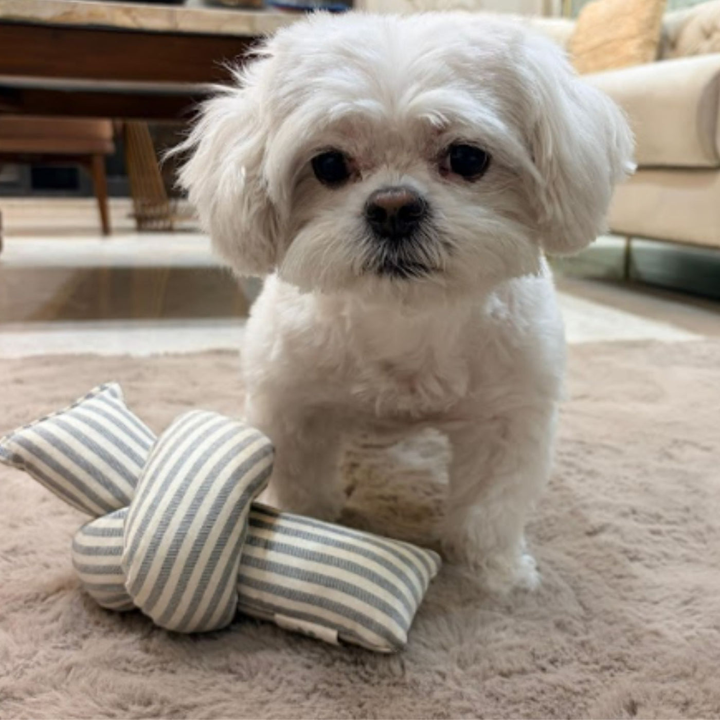 The knot (Squeak toy)