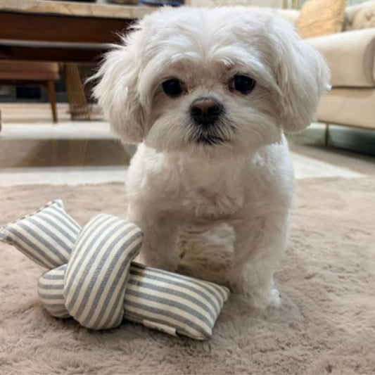 The Knot Squeaky Pet Toy
