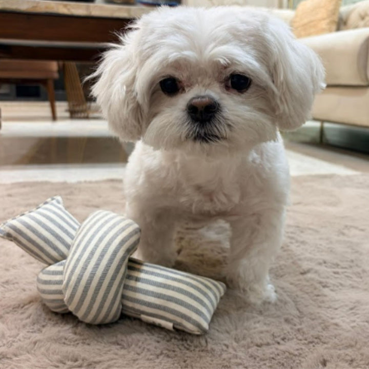 The knot (Squeak toy)
