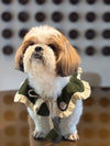 The Petal Ruffle Bandana - Elegant Emerald Green & Gold Festive Pet Cape
