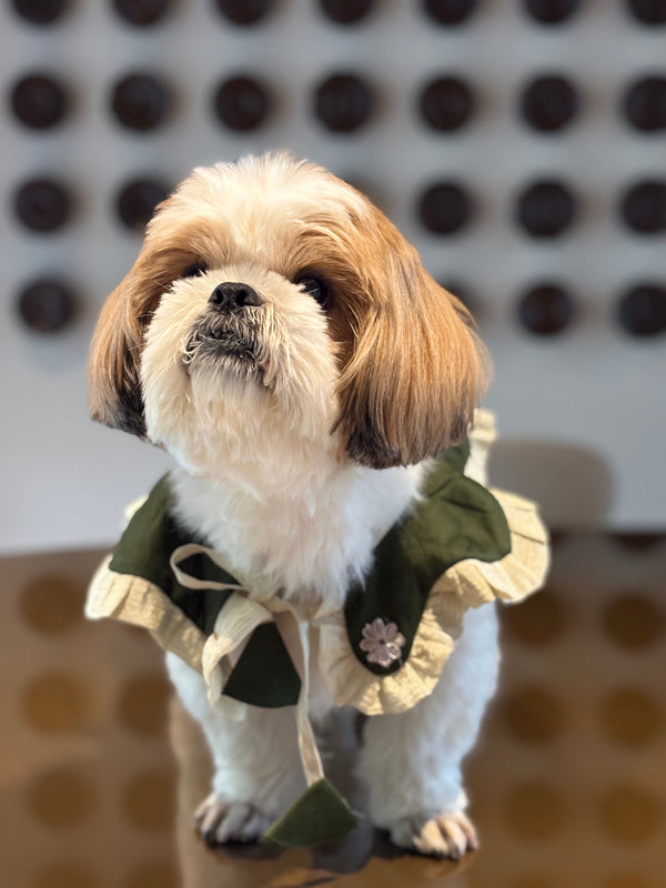 The Petal Ruffle Bandana - Elegant Emerald Green & Gold Festive Pet Cape