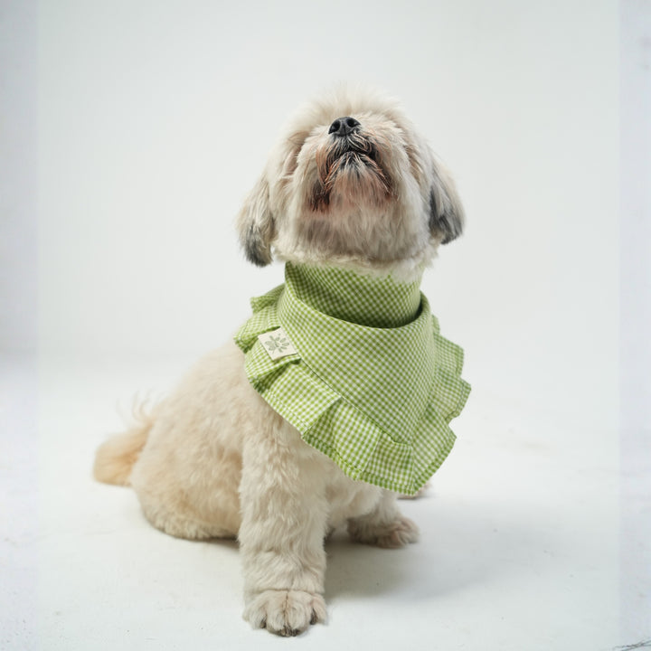 Miso Ruffled Green Pet Bandana