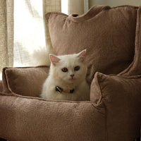 The Lounger
