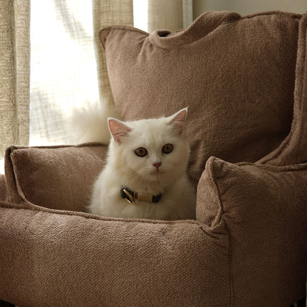 The Lounger