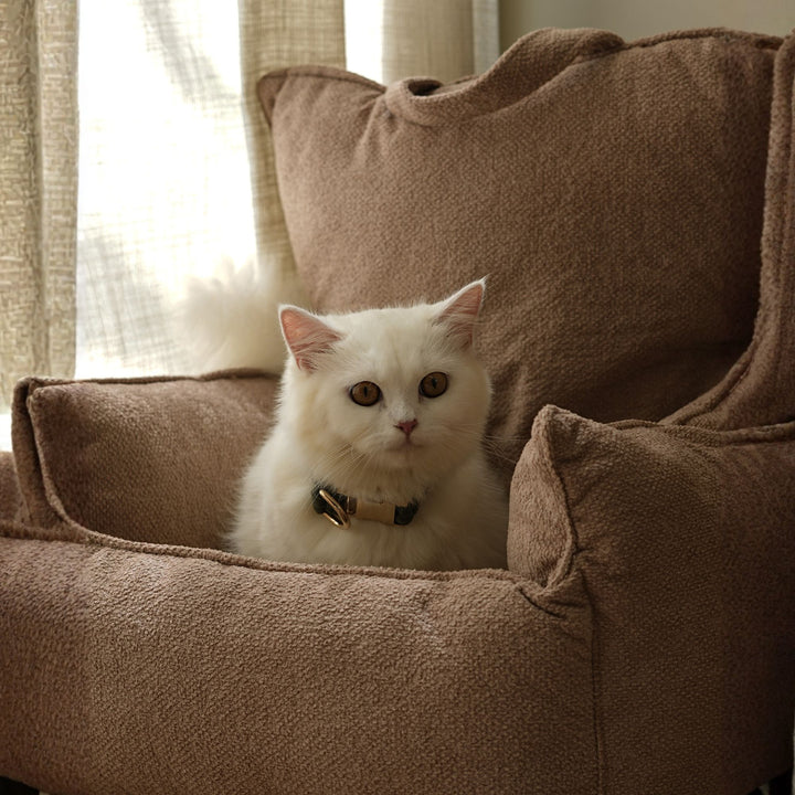 The Lounger