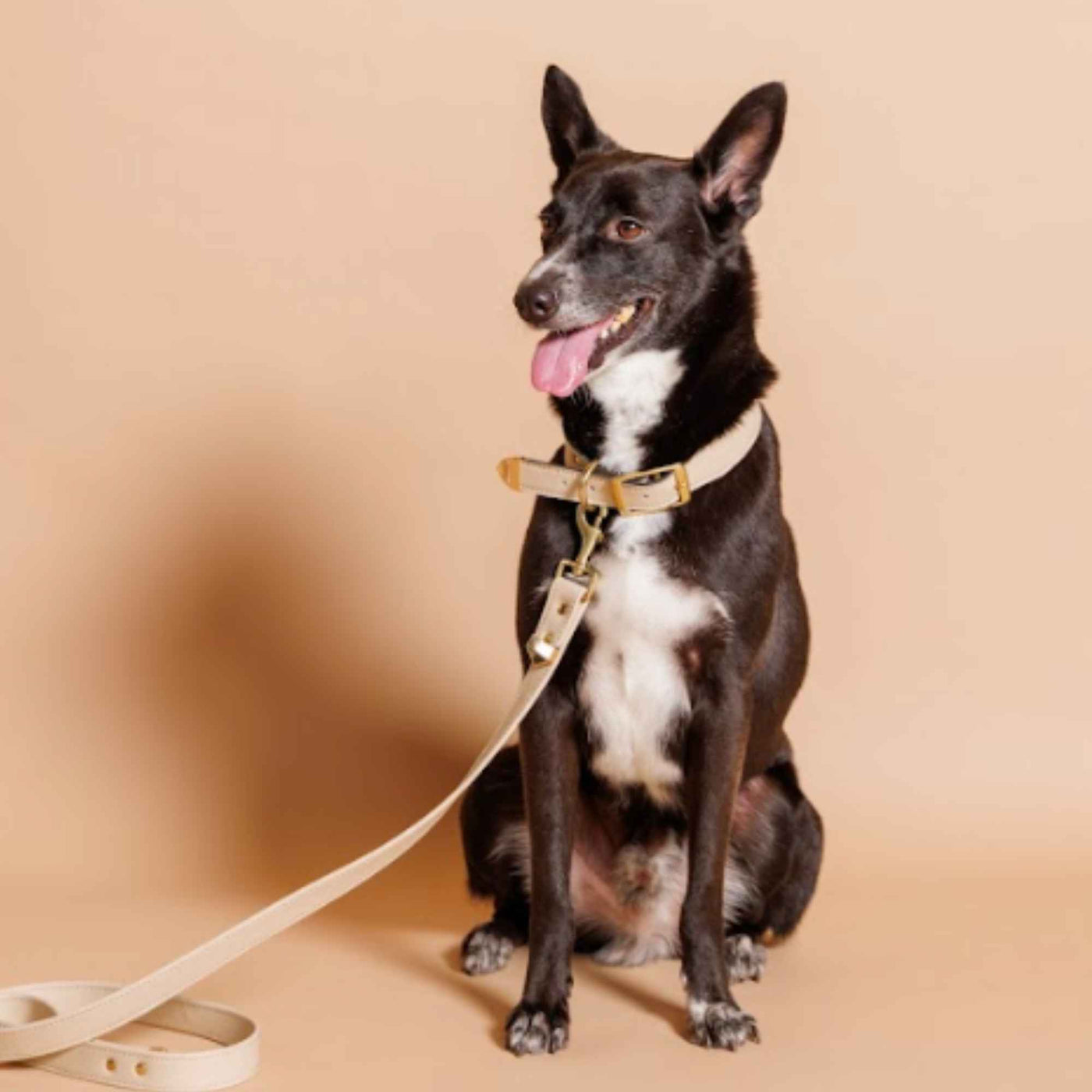 FURLUXE LEASH