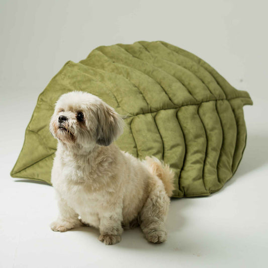 Plush Green Leaf Pet Mat