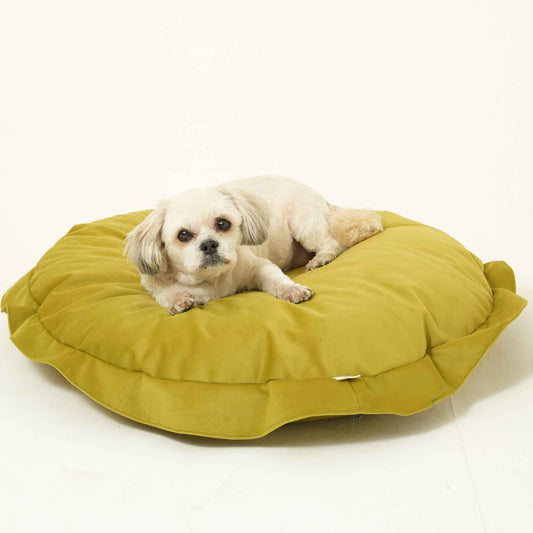 Cozy Donut Round Pet Cushion