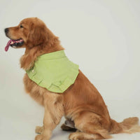 Miso Bandana