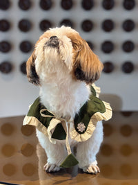 The Petal Ruffle Bandana - Elegant Emerald Green & Gold Festive Pet Cape