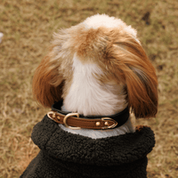 CLASSIC DUO-TONE COLLAR