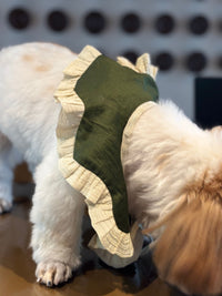 The Petal Ruffle Bandana - Elegant Emerald Green & Gold Festive Pet Cape