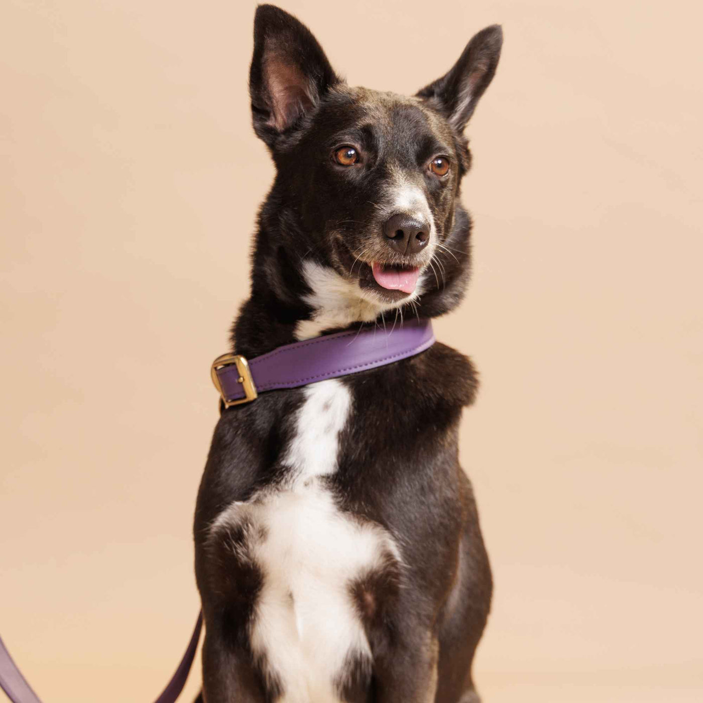 FURLUXE LEASH