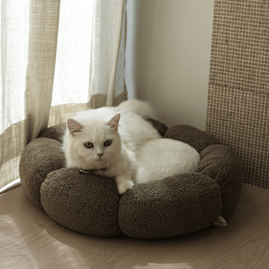 FLORA PLUSH BED TAN-WHITE