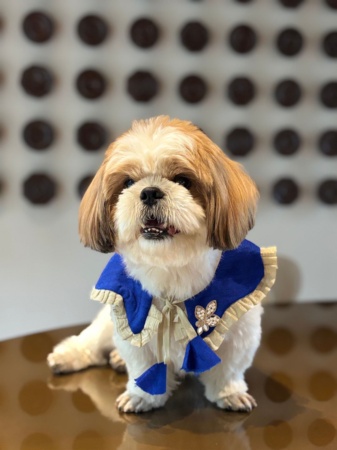 The Petal Ruffle Bandana - Vibrant Blue & Gold Festive Pet Cape