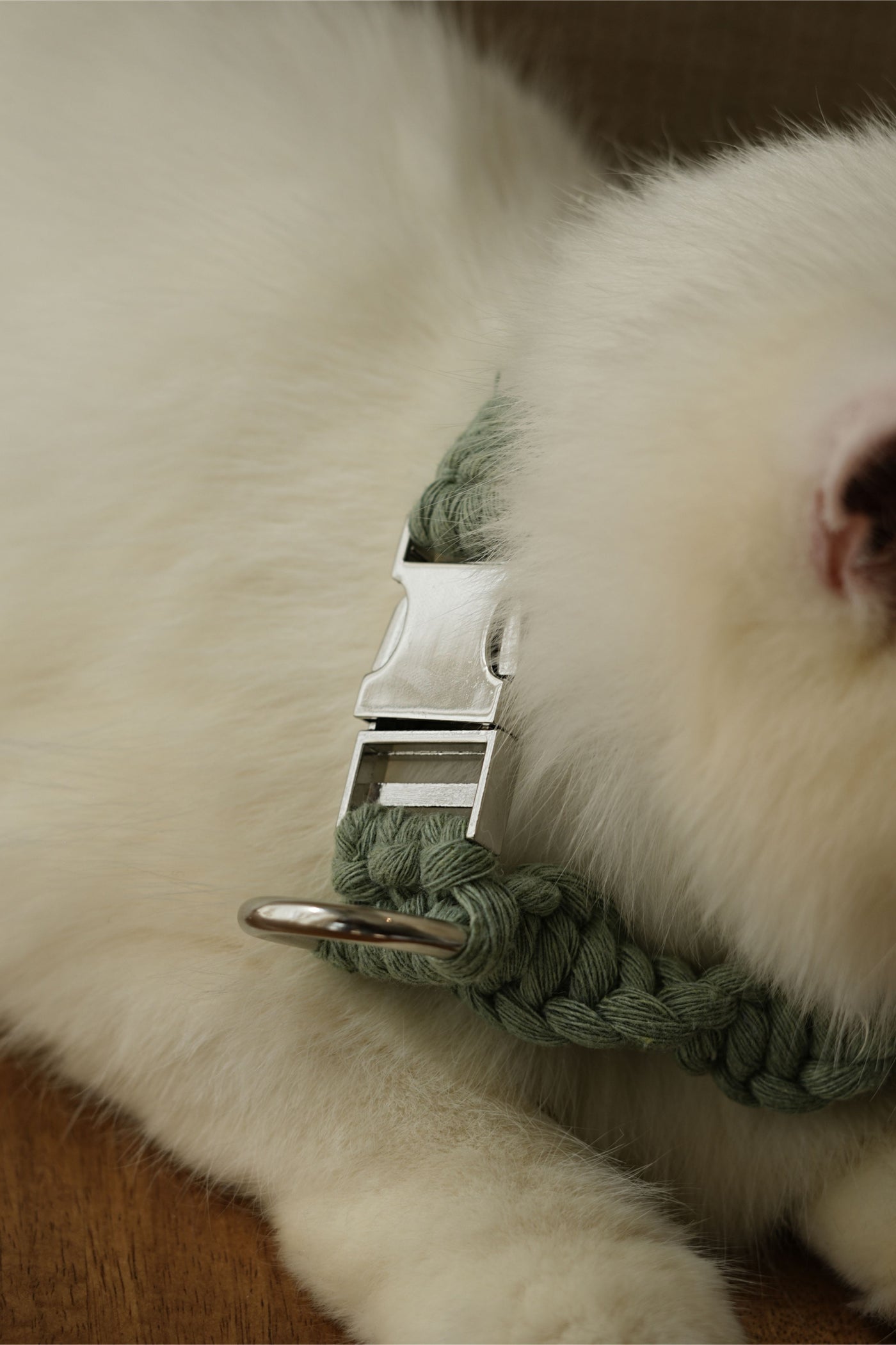 Sage Handmade Pet Collar – Premium Braided Collar with Metal Buckle & D-Ring