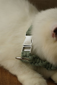 Sage Handmade Pet Collar – Premium Braided Collar with Metal Buckle & D-Ring
