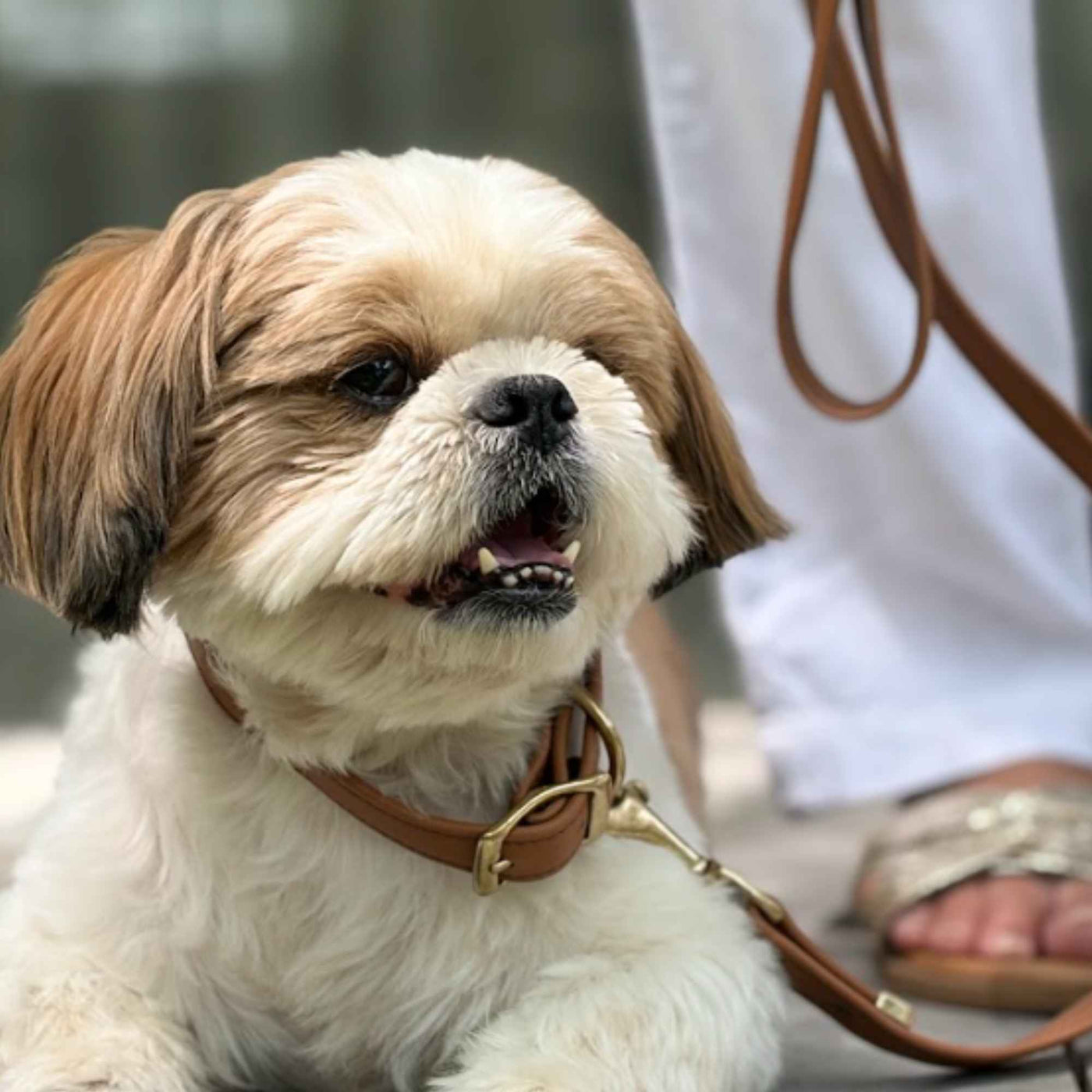 FURLUXE LEASH