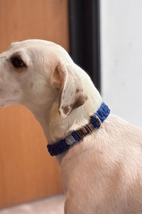 Sapphire Handmade Pet Collar – Premium Woven Collar with Metal Hardware