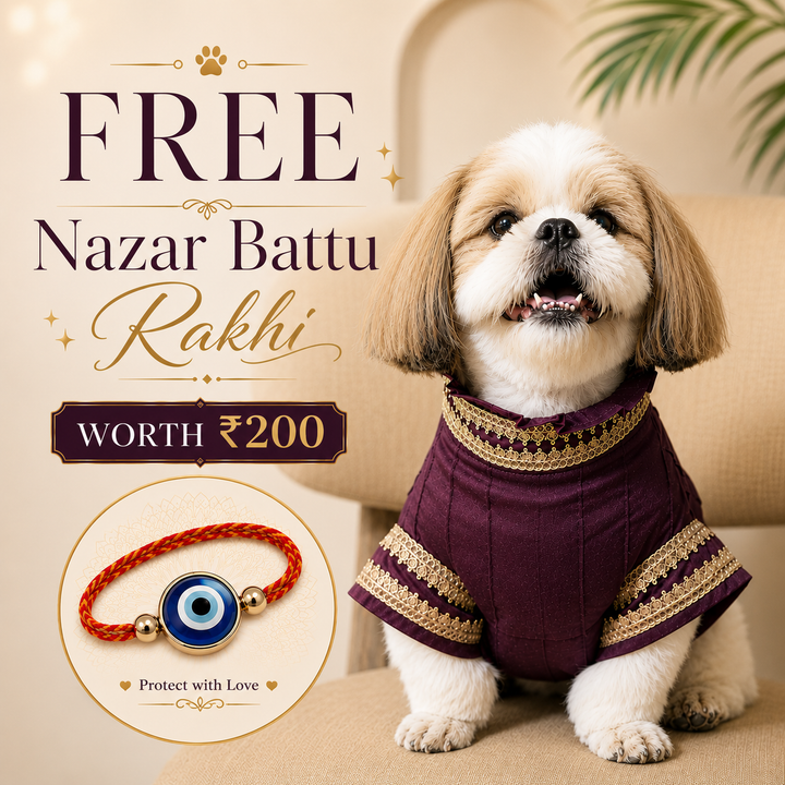 The Noor Kurta - Festive Ethnic Wear for Dogs