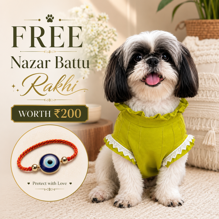 The Meher Kurta - Designer Ethnic Wear for Dogs