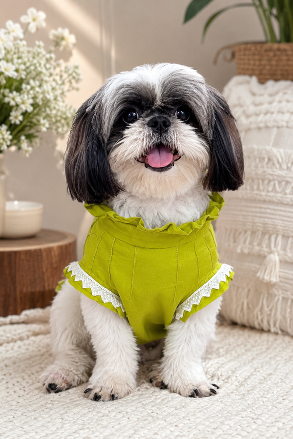 The Meher Kurta - Designer Ethnic Wear for Dogs