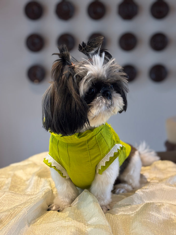 The Meher Kurta - Designer Ethnic Wear for Dogs