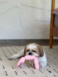 Pawperoni Sausage Pet Toy