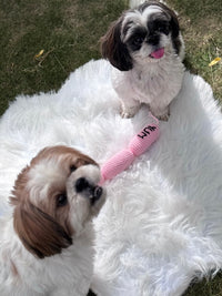 Pawperoni Sausage Pet Toy